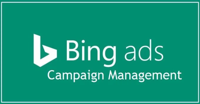 bing ads management